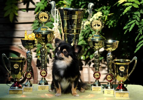 Smiley and trophies from Club Show Dargov