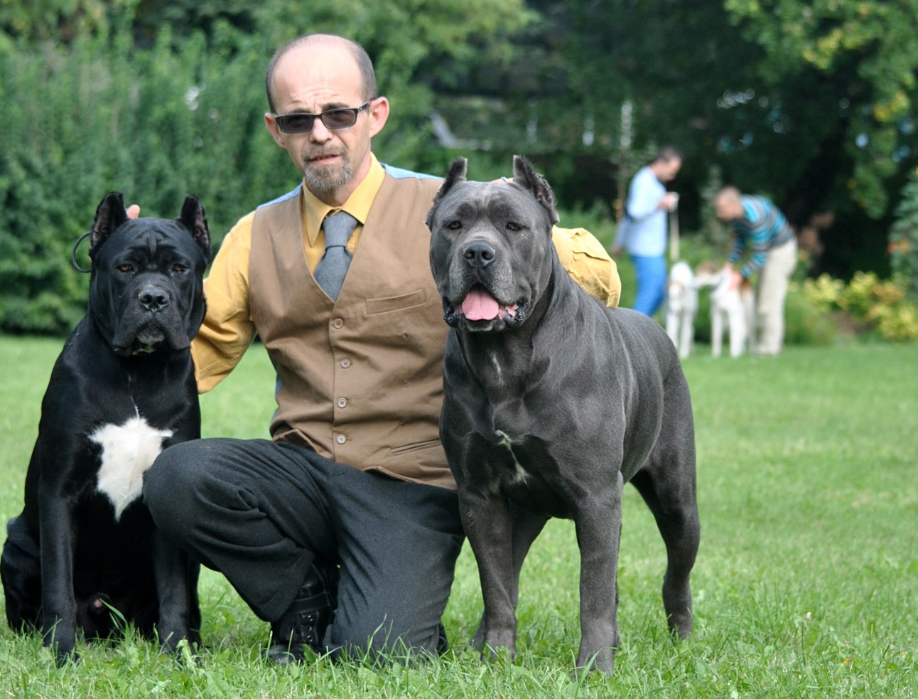 niky-jasmine-aslan.jpg