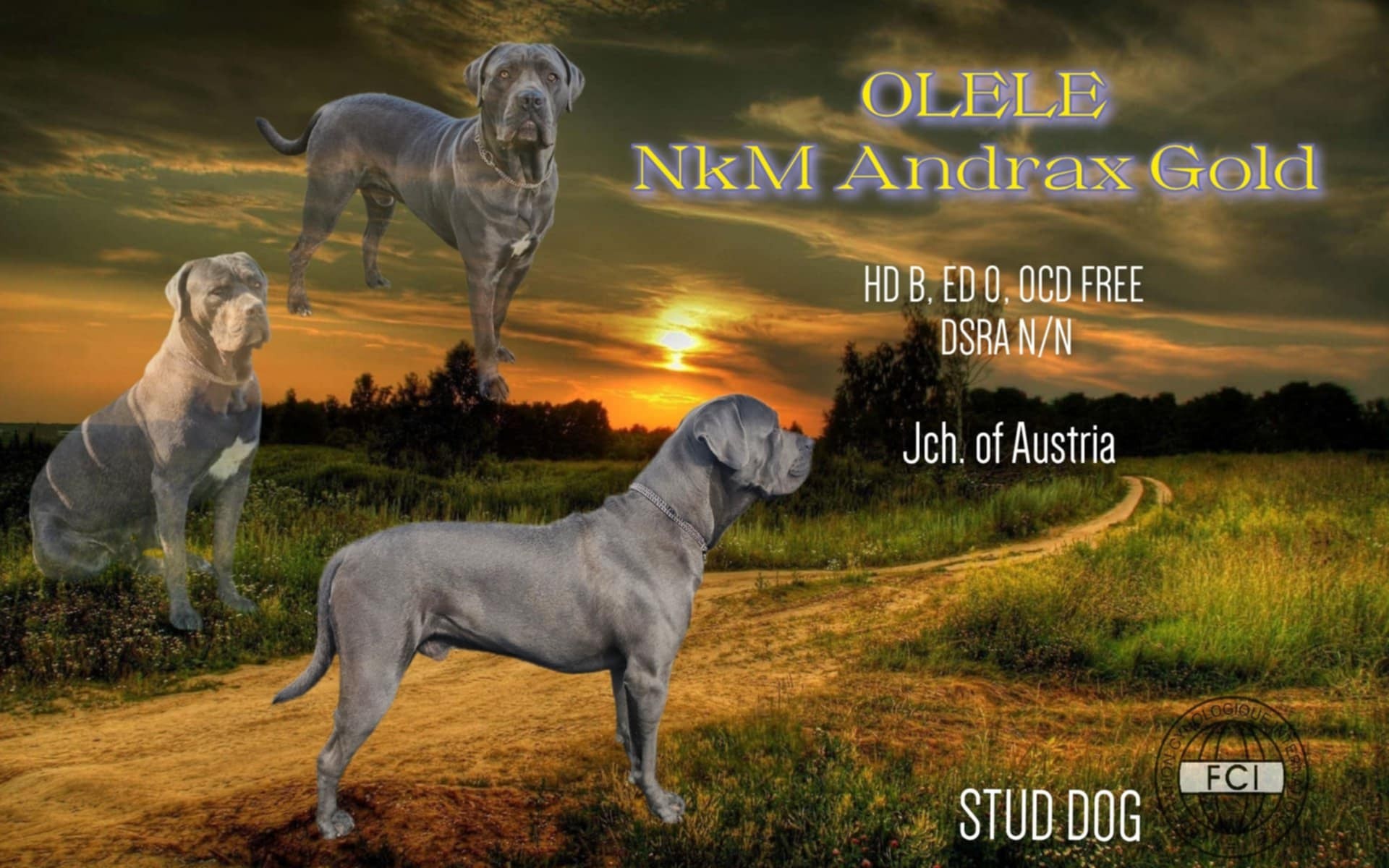 olele.jpg